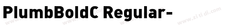 PlumbBoldC Regular字体转换
